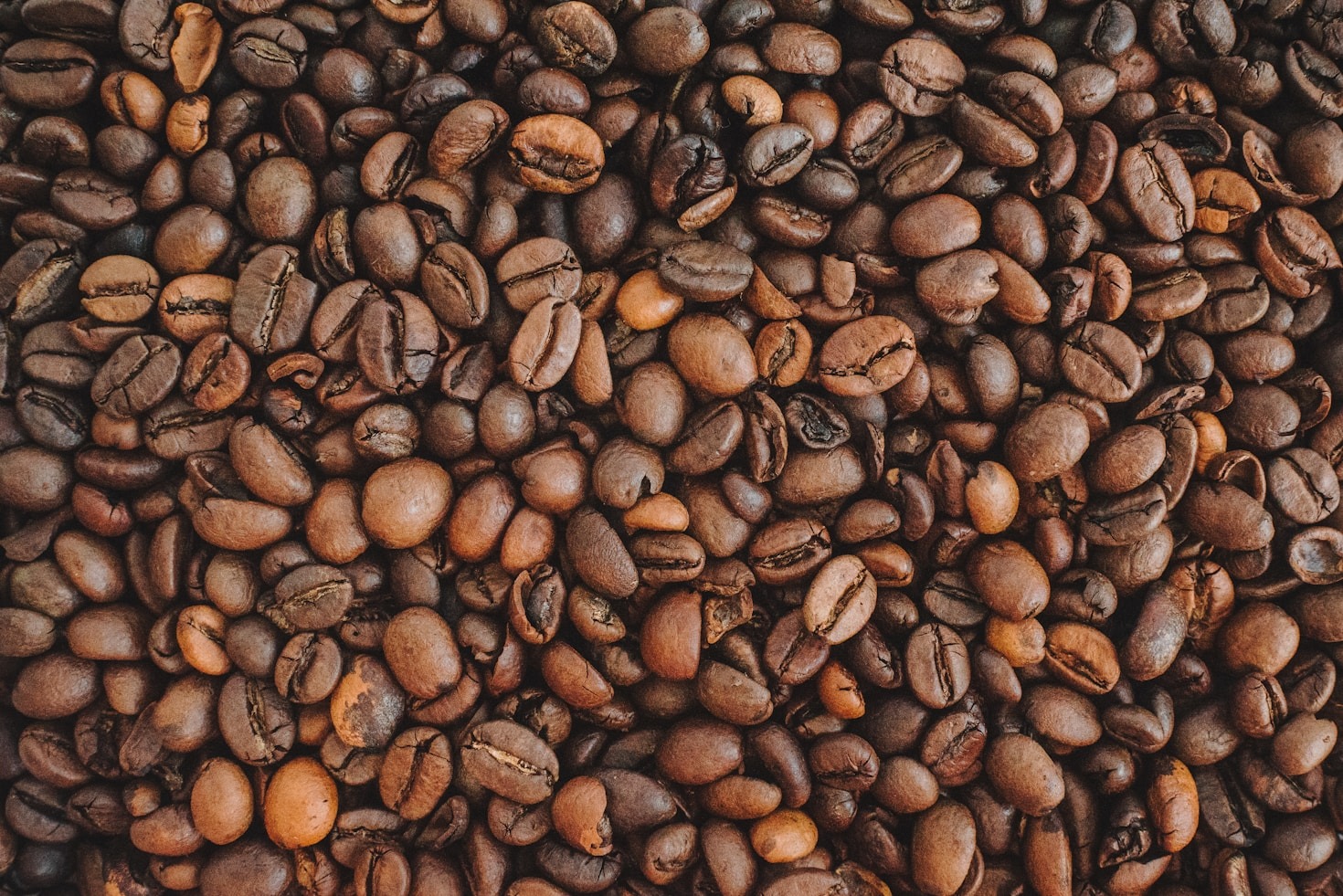Top 10 Brewing Methods for Coffee Lovers