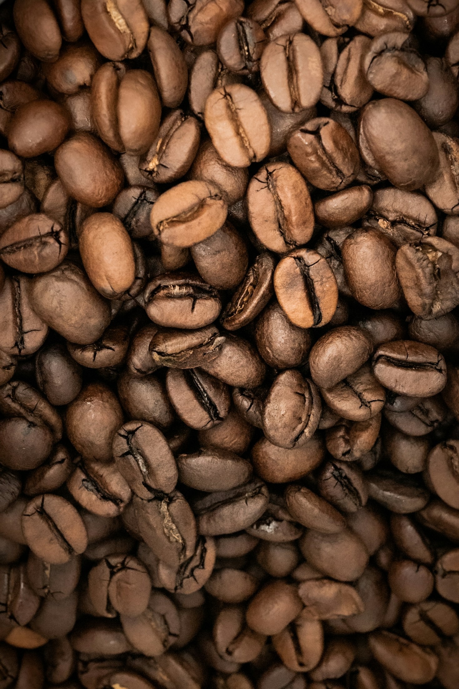 The Science Behind Perfect Coffee Extraction