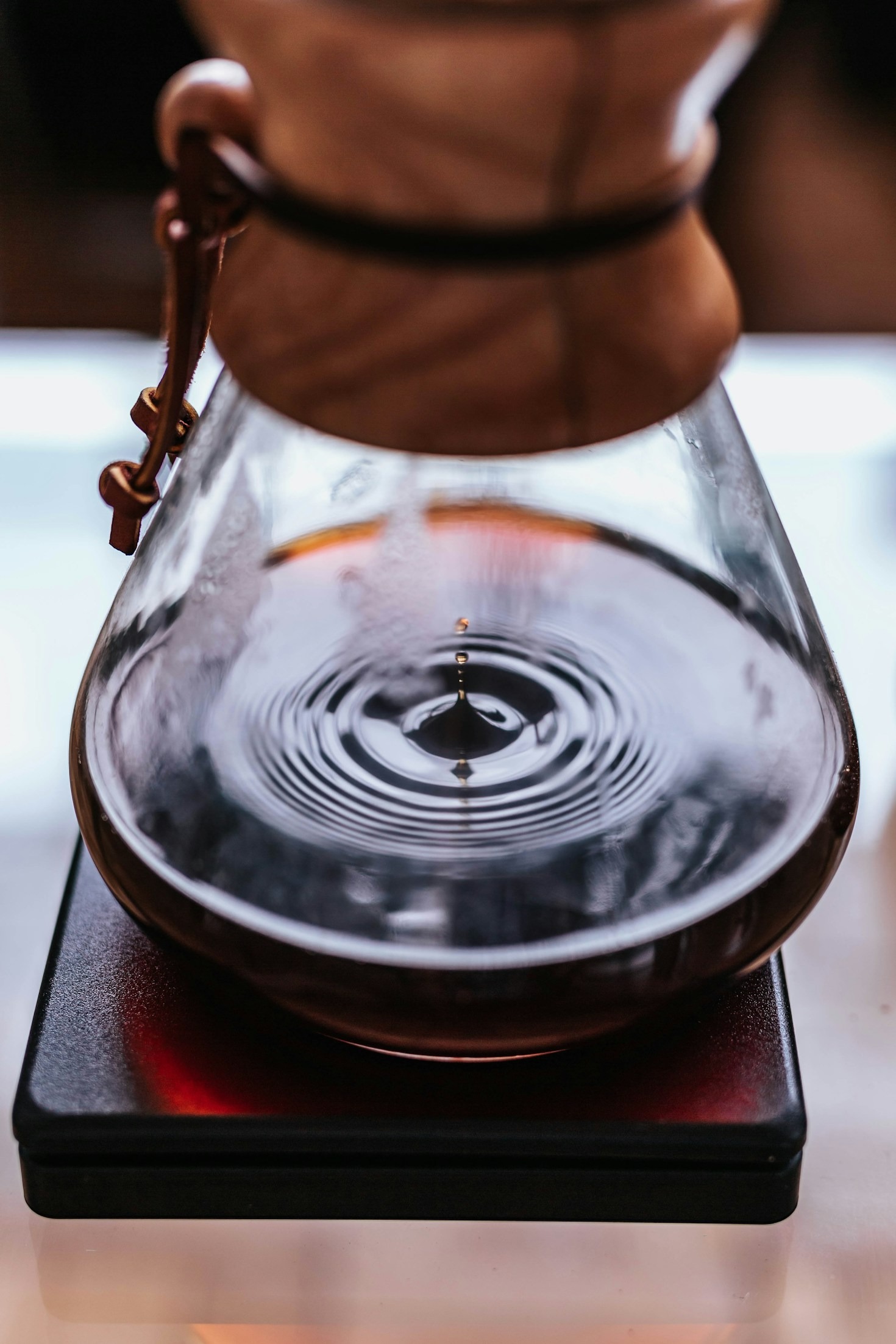 What Makes Specialty Coffees Special?