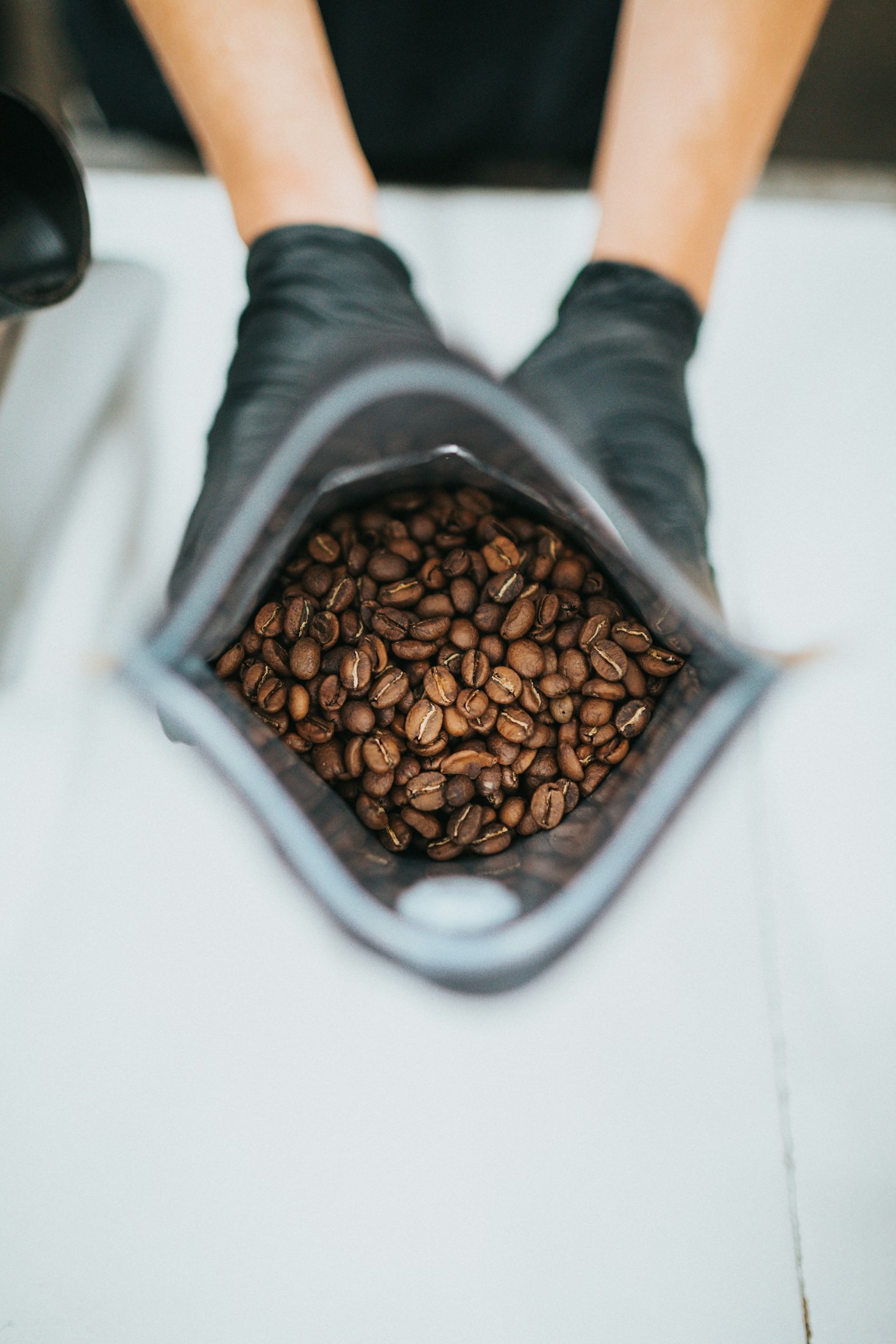 Understanding the Roast Types: Light to Dark